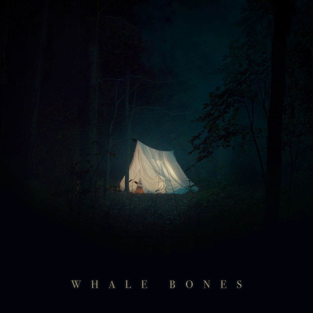 Whale Bones - Close All the Blinds (2020) CD w/ Digipak